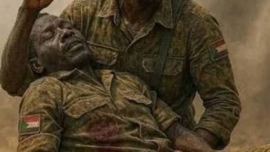 Screenshot 20260222 111912 Chrome