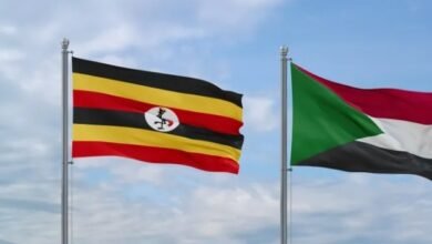 Screenshot 20260222 113723 Chrome