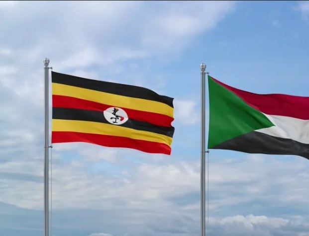 Screenshot 20260222 113723 Chrome