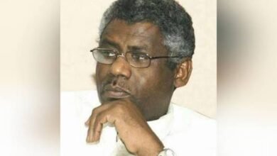 عادل الباز: ماذا يعني فك حصار كادوقلي؟ 14 images 13 1