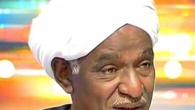 محجوب فضل : الفسالة البَيْنَة ولا الجُود المَجَهْجَهْ! 17 images 14 1