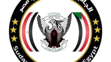 ماذا قالت الجالية السودانية بمصر عن حادثة وفاة طفلتين جوعاً!! 15 images 15 2