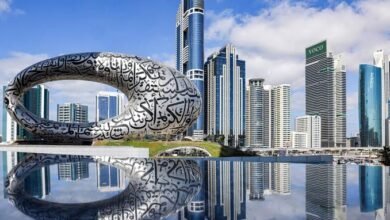 توتر في أبو ظبي عقب الإطاحة بطحنون 19 images 2026 02 01T094053.709