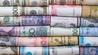 images 2026 02 15T115343.310