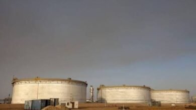 images 2026 02 15T120330.870