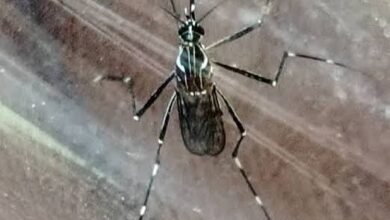 images 2026 02 18T223516.510