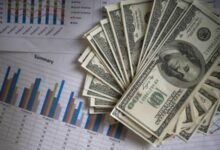 images 2026 02 24T134148.811