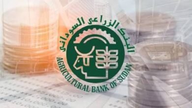 images 2026 02 25T151615.579