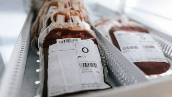 images 2026 02 25T185640.824