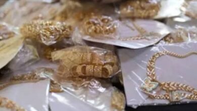 images 2026 02 27T184510.292