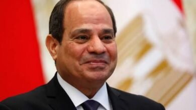 ماذا قال السيسي عن زيارة كامل للقاهرة؟ 16 images 52 8
