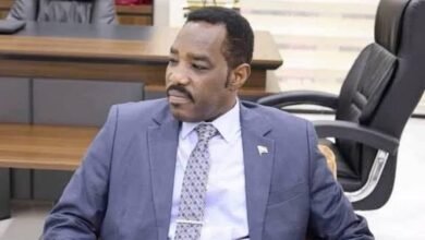 الكشف عن توفير 40 ألف وظيفة حكومية 16 images 53