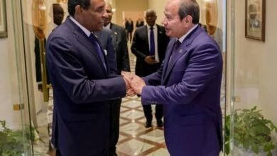 رئيس الوزراء يغادر إلى القاهرة ويلتقي السيسي