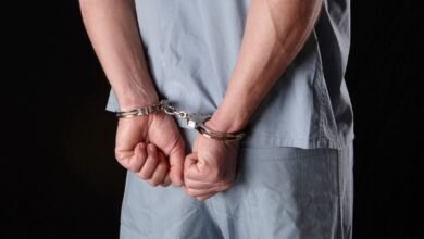 556fc473 944f 43a5 a414 e51bf9c84c87