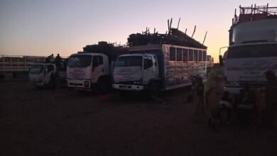 حملات مكثفة ضد الأجانب بالشمالية 14 IMG 20260312 WA0037