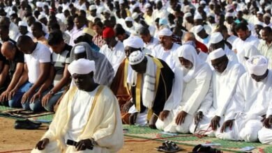 IMG 20260313 WA0008 1