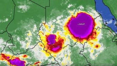السودان.. تحذيرات من تغييرات مناخية تؤثر على سبل العيش والإقتصاد 15 IMG 20260323 WA0014
