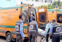 وجبة سمك تُنهي حياة 3 سودانيين بالقاهرة 12 IMG 20260329 WA0003