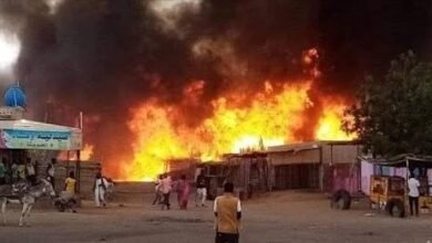 images 2026 03 01T235021.652