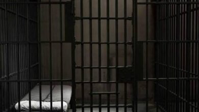 images 2026 03 03T140543.218