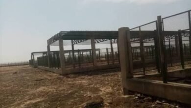 بشريات لدخول محجر الدندر دائرة الصادر ! 16 images 2026 03 04T171315.424