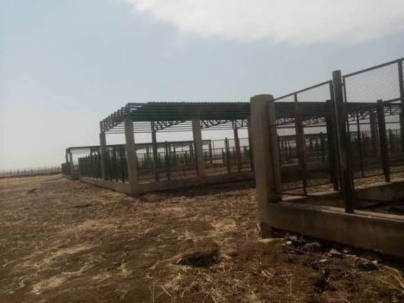 images 2026 03 04T171315.424