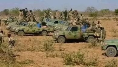 images 2026 03 10T182800.689