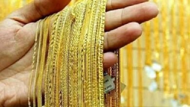 images 2026 03 15T133323.693