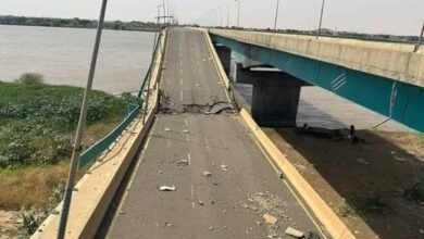 images 2026 03 15T143414.457