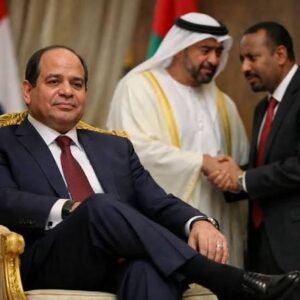 السيسي يلتقي رئيس الإمارات وأمير قطر.. ماذا هناك!!