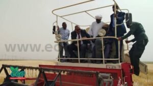 الزراعة والري تتخذ خطوات مهمة تجاه الموسم الصيفي