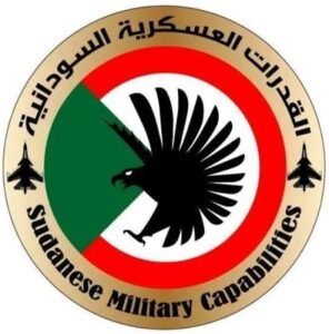 مستجدات مهمة بشأن الطائرة الإثيوبية التي سقطت بالأبيض 