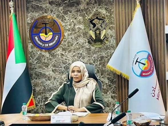 قطاع المعادن يعتزم زيادة الإنتاج والدفع بالإقتصاد 11 images 41 6