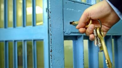 إطلاق سراح رسام كاركتير بعد ١٥ سنة حبس 14 رئيس الوزراء يصدر قرارات مفاجئة!!