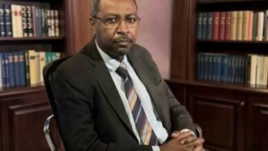 أمجد فريد: لا توجد تفاهمات سرية أو علنية مع المليشيا 17 images 59 4