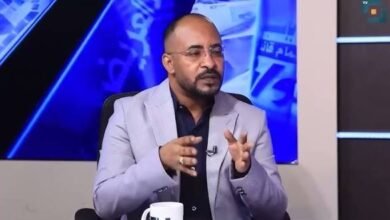 عزمي عبد الرازق يكتب: تمباك الجزيرة 39 images 96 1