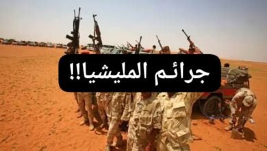 IMG 20260401 WA00021 1