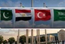 كيف تصدت الدول الخمس لمخططات الفتنة؟!! 12 IMG 20260408 WA0012