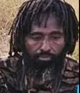 بشريات.. هلاك قادة ميدانيين مؤثرين!!