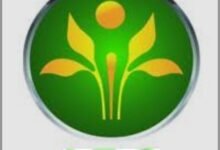 Screenshot ٢٠٢٦٠٤٠٨ ٠٩٤٢٣١ Google