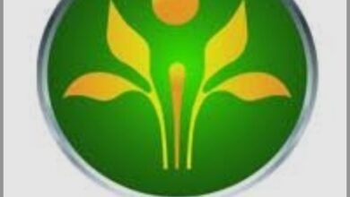 Screenshot ٢٠٢٦٠٤٠٨ ٠٩٤٢٣١ Google