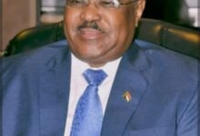 إيطاليا تعلن مرحلة جديدة لمساعدة السودان.. 12 Screenshot ٢٠٢٦٠٤٠٨ ٠٩٥٦٥٧ Google