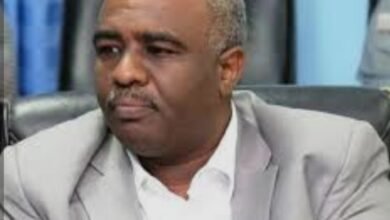 Screenshot ٢٠٢٦٠٤١٤ ٠٨١٦٤٣ Google