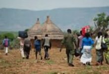 Screenshot ٢٠٢٦٠٤٢٠ ٠٧٣١٤٤ Google