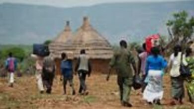 Screenshot ٢٠٢٦٠٤٢٠ ٠٧٣١٤٤ Google