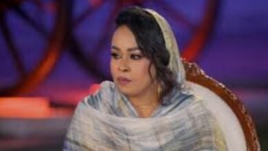 Screenshot ٢٠٢٦٠٤٢٢ ١١٤٦٣٨ Google