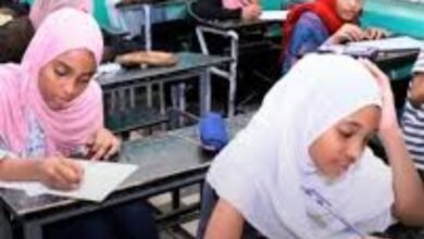 Screenshot ٢٠٢٦٠٤٢٣ ٠٧٣٥٥٥ Google