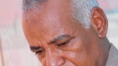 Screenshot ٢٠٢٦٠٤٢٣ ١١٥٤٥٩ Google