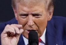 Screenshot ٢٠٢٦٠٤٢٦ ٠٦٣١٥٦ Google