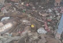 Screenshot ٢٠٢٦٠٤٢٩ ٠٧٠٧١٤ Google